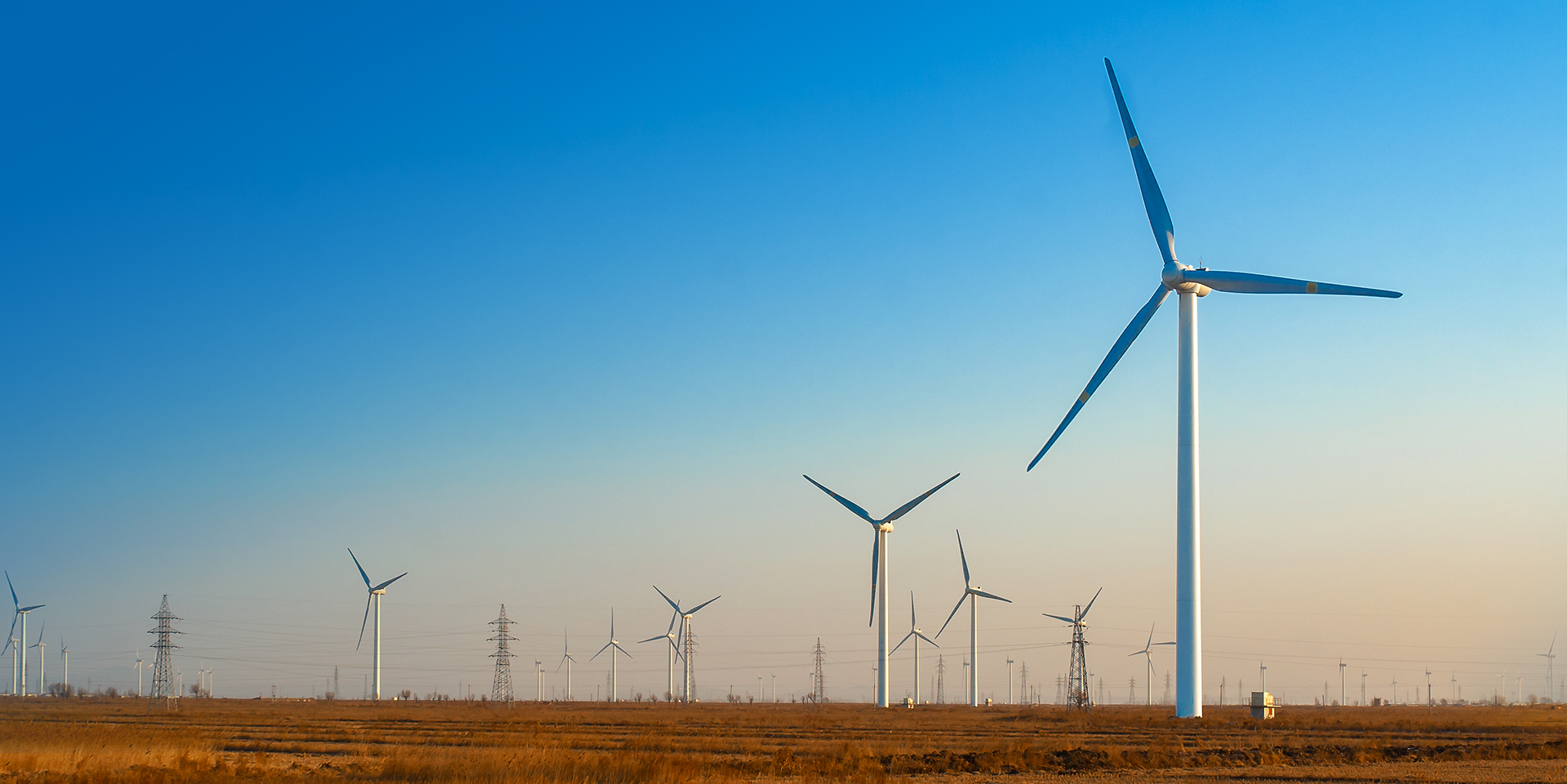 首页| 888集团电子游戏官方网站