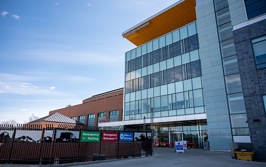 首页| 888集团电子游戏官方网站